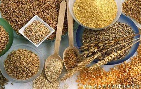 联合国粮农组织总干事：中国为稳定世界粮食生产作出贡献