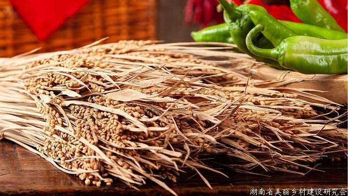 粮食产需缺口不等于供需缺口，我国谷物自给率超95%以上，口粮自给率超100%—— 中国粮食供需并无缺口