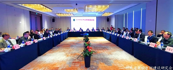 激发文化产业活力助推乡村全面振兴 ——乡村文化产业创新座谈会暨美丽乡村艺术行活动在江苏南通举办