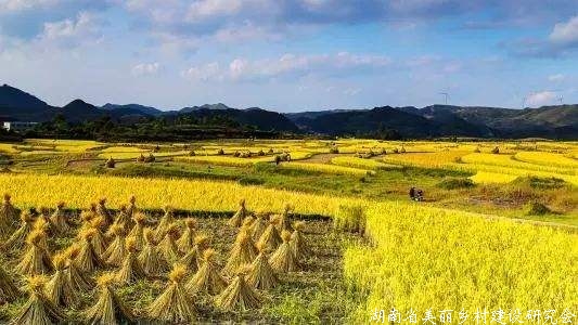 山东全力打造乡村振兴“火车头”