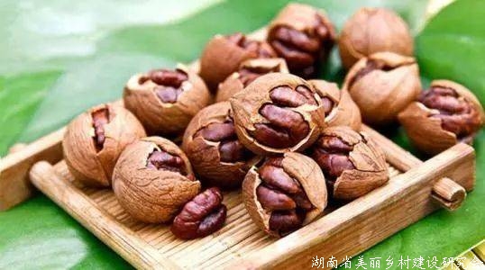 宁国：林农增收致富的“金果果”