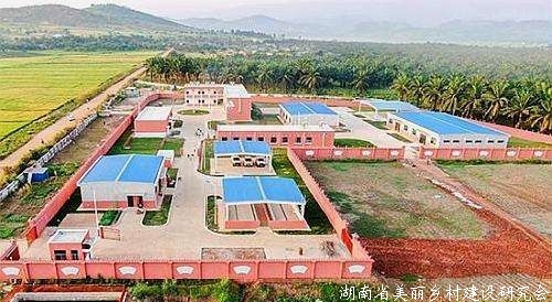 中国援布隆迪农业技术示范中心项目成功移交