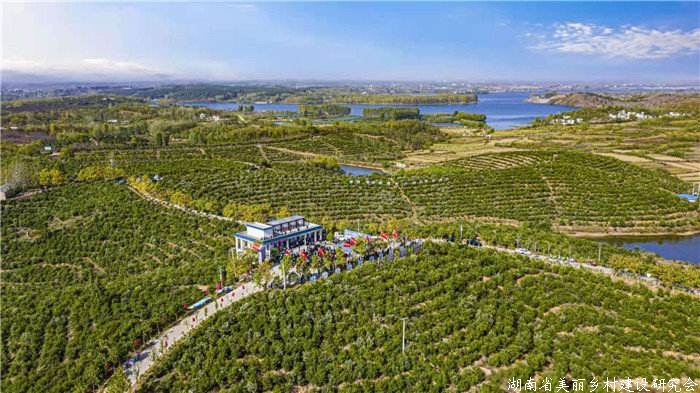 我国油茶种植面积达6800万亩