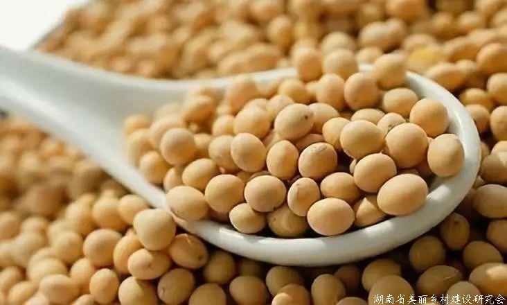 黑龙江省粮食行情呈“两升一稳”态势