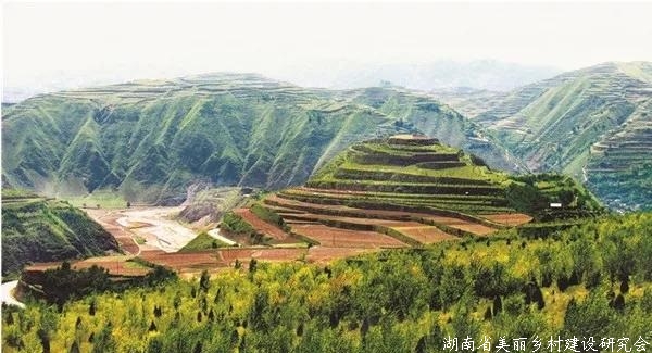 甘肃将集中支持一批乡村振兴重点帮扶县