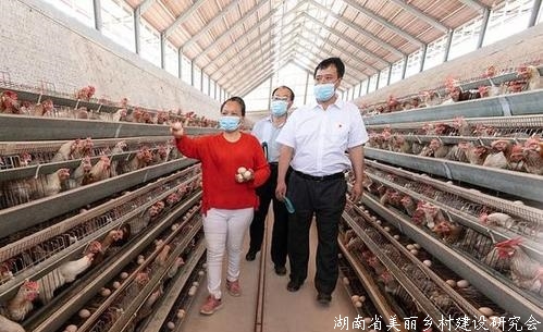 河北加大对稳产保供农业企业金融支持力度