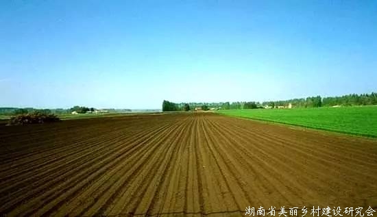 我国耕地保护与利用面临诸多挑战