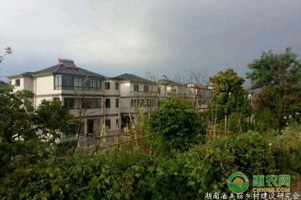 农村女孩出嫁后还能享受这三项权利，第三种很多人不知道！