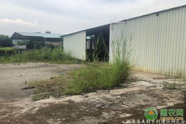 农村自建铁皮屋违法吗?