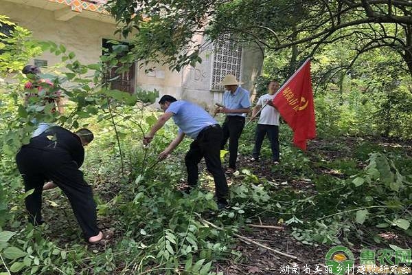 农村陋习现象