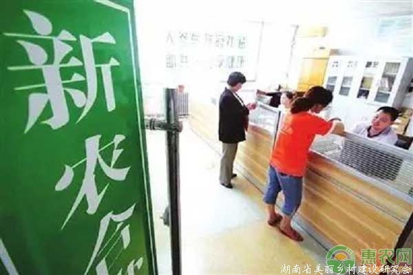 新农合费用收取