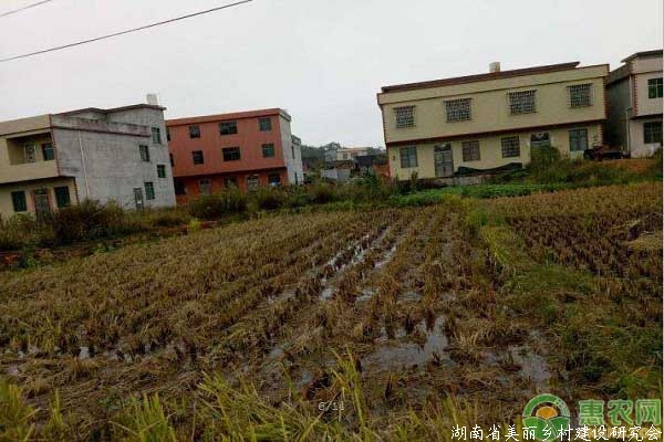 农田建房