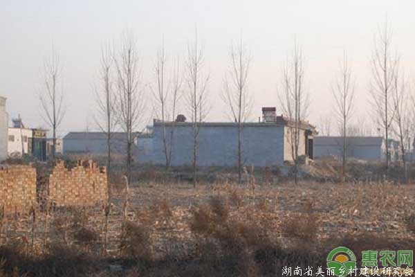新土地管理法对农田建房的影响