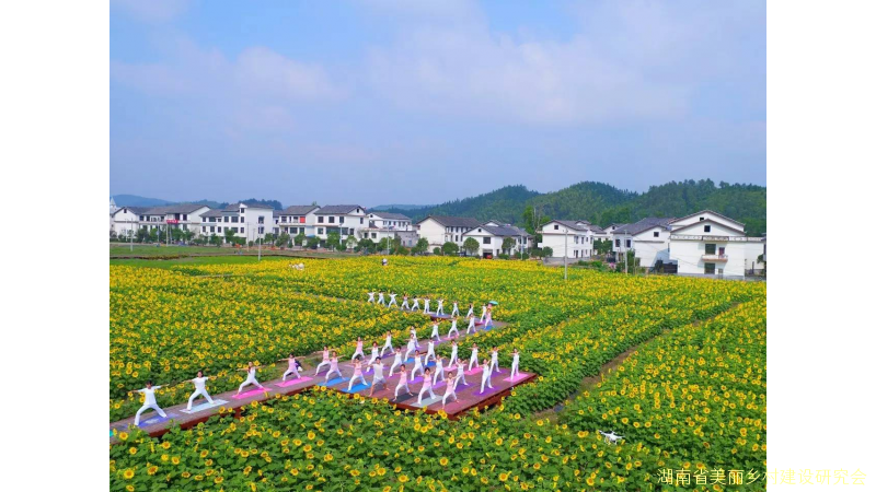 打好乡村振兴首仗，建设美丽宜居郴州