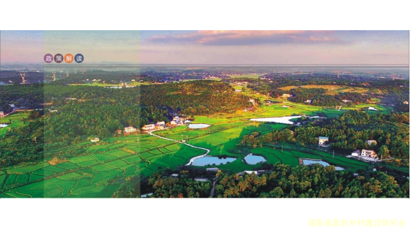 扎实稳妥推进乡村建设 ——中央农办负责人就《乡村建设行动实施方案》答记者问 